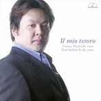 望月哲也/イル・ミオ・テゾーロ