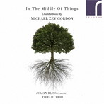 ブリス/フィデリオ三重奏団/In the Middle of Things-物事の途中で