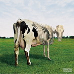 モルゴーア・クァルテット/原子心母の危機 Atom Heart Mother is on the edge