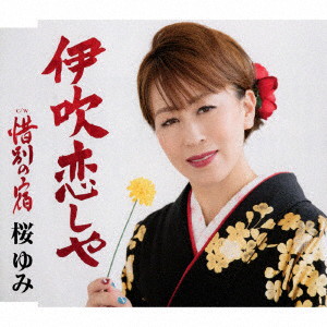 桜ゆみ/伊吹恋しや