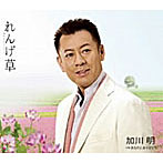 加川明/れんげ草