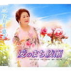 岸井千恵子/愛のまち綾瀬