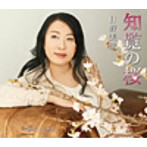 日野美歌/知覧の桜