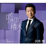沢井明/嘘の積木