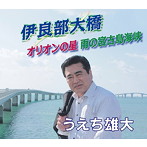 うえち雄大/伊良部大橋