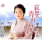 宮崎ひさの/哀愁の青山高原