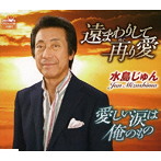 水島じゅん/遠まわりして再り愛