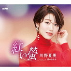 川野夏美/紅い螢/渚のホテル