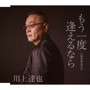 川上達也/もう一度逢えるなら