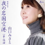 山口みさと/夜の岩国空港