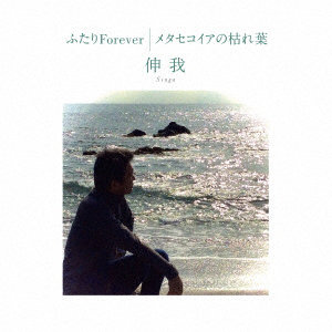 伸我/ふたりForever/メタセコイアの枯れ葉