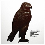 Amamiaynu/Amamiaynu