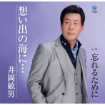 井岡敏男/想い出の海に…