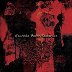 CONCENTO PAVOR NOCTURNUS