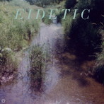 Benoit Pioulard/Eidetic