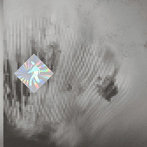 Discovery Zone/Quantum Web