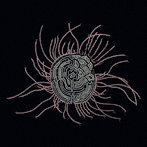 Ka Baird/Bearings: Soundtracks for the Bardos