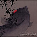 Colorform/Fragments of Youth