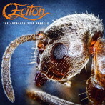 ECITON/THE AUTOCATALYTIC PROCESS