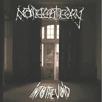 NAMELESS THEORY ネームレス・セオリー/INTO THE VOID / イントゥ・ザ・ヴォイド<直輸入盤国内仕様>