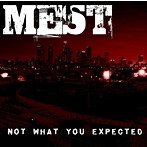 メスト/Not What You Expected