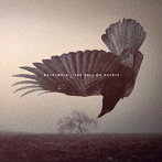 KATATONIA/THE FALL OF HEARTS