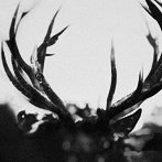 IHSAHN/IHSAHN