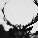 IHSAHN/IHSAHN （ORCHESTRAL）