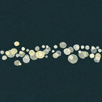 tAk/Murmurations