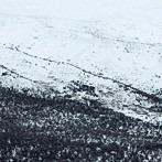 Submerse/Awake