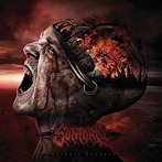 Suntorn/Symbiotic Polarity