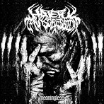 Hateful Transgression/Meaningless