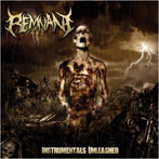 Remnant/Instrumentals Unleashed