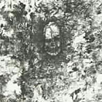 INVASION/Discography CD