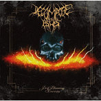 Decompose to Ashes/Pod plameny Severu