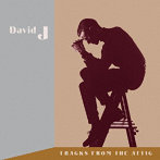 DAVID J/TRACKS FROM THE ATTIC