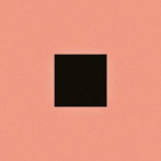 BON IVER/SABLE， FABLE