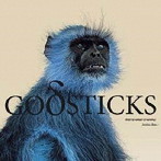 GODSTICKS/THIS IS WHAT A WINNER LOOKS LIKE