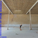 TORRES/WHAT AN ENORMOUS ROOM