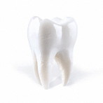 PORIJ/TEETHING（完全限定生産盤）