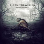 Bjoern Torwellen/Metacollapse