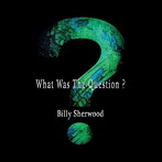 ビリー・シャーウッド/WHAT WAS THE QUESTION?