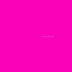 サニ-・デイ・リアル・エステイト/LP2（2009エディション）