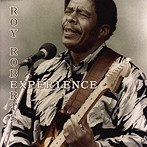 ROY ROBERTS EXPERIENCE/ROY ROBERTS EXPERIENCE