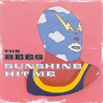 BEES/SUNSHINE HIT ME