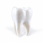 PORIJ/TEETHING