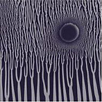 SUNN O）））/ザ・グリムローブ・デモス（紙ジャケット仕様）