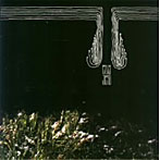 ENVY/JESU/SPLIT