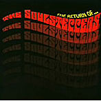 SOUL STEPPERS/The Park