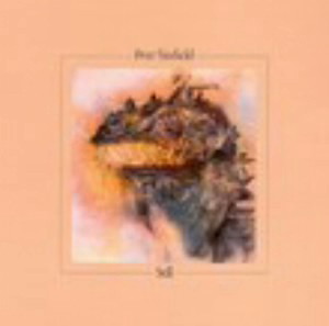 ピート・シンフィールド/スティル（紙ジャケット仕様）